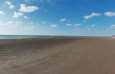 Les Sternes - Foto 45