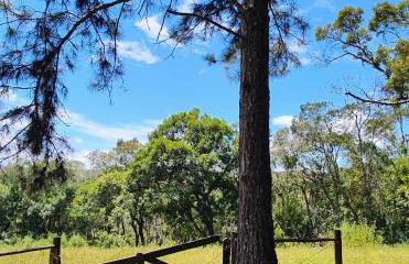 Paineiras Pousada Rural - Foto 13