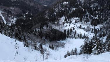 HAUS AM SEE - Natur Pur - Foto 5