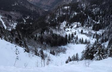 HAUS AM SEE - Natur Pur - Foto 5