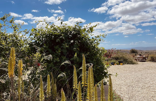El sueño de Andalucia - Foto 74