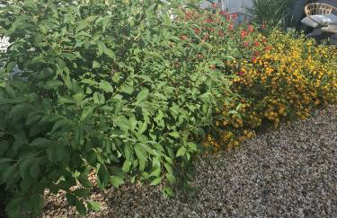 Pateo da Memória-Casa do Artesão - Foto 18