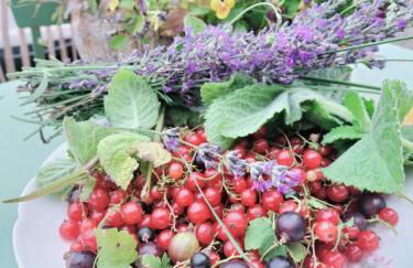 Les Chanterelles La souris des champs - Foto 62