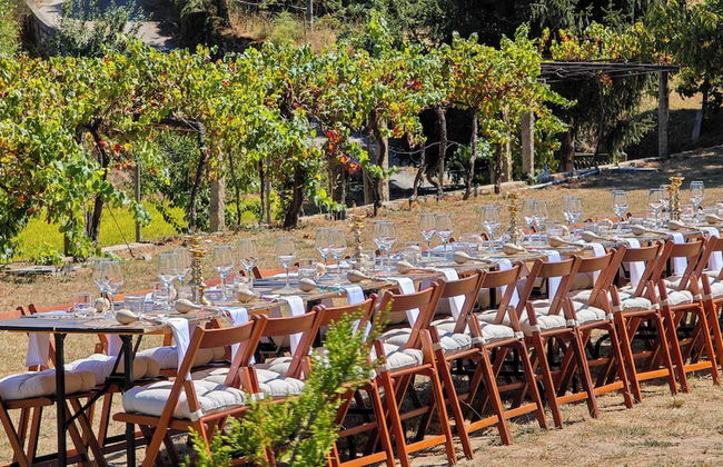 Quinta do Regato Douro - Foto 99