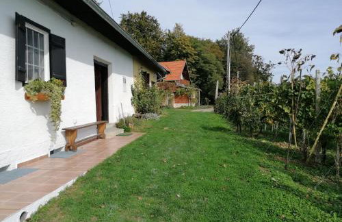 Rural house above the forest - Foto 26