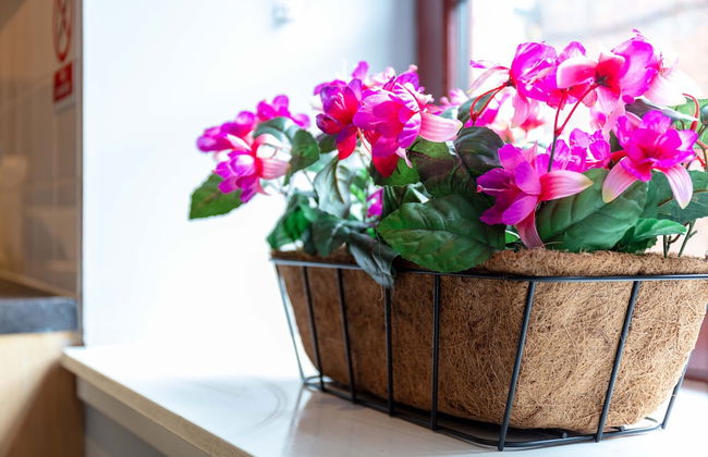 Elliot Suite No3 - Donnini Apartments - Foto 19