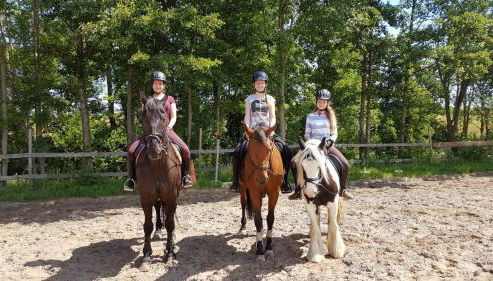 Ferienhaus: Mitten auf dem Reiterhof - Foto 4