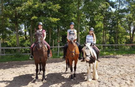 Ferienhaus: Mitten auf dem Reiterhof - Foto 4