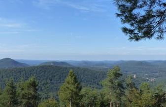 Ferienwohnung "Monte Noble" Südpfalz - Foto 8