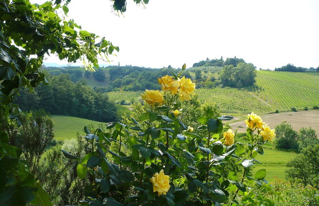 Cottage In The South Of Tuscany - Photo 8