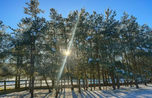 Countryside Retreat - Indoor Pool, Sauna, Hot Tub - Photo 27