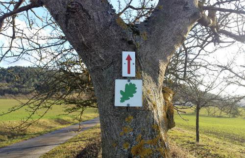 Caro's Ferienwohnung - Foto 16