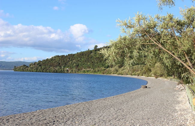 Brams Bach - Photo 44