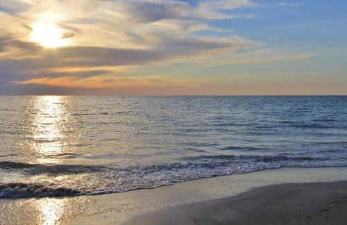 Royal Orleans 111 - Foto 19