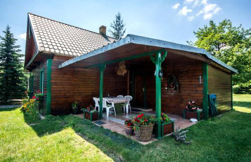 Gaja-Białowieża - Foto 43