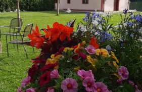 Agriturismo La Vita è Bella - Foto 20