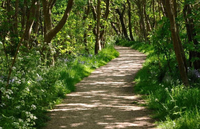 Coastal Apartment in Westkapelle - Foto 39