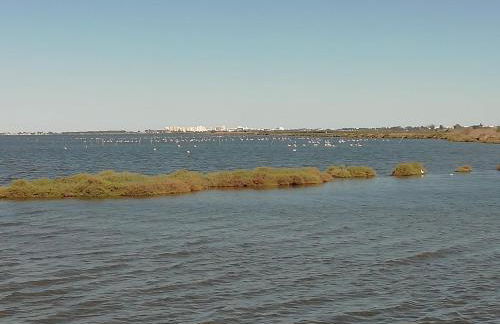 Janislove34 Maison 1 Chambre avec accès piscine dans résidence à Palavas les flots - Foto 25