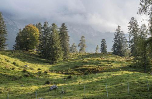 Ferienwohnung Karwendelblick - Foto 40