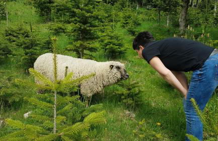 Ferienwohnung am Schneeberg - Foto 37