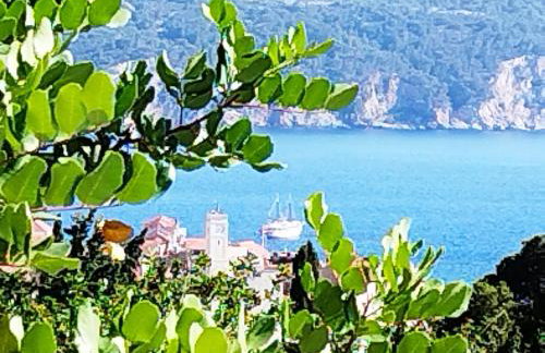 M&D appartments - Photo 20