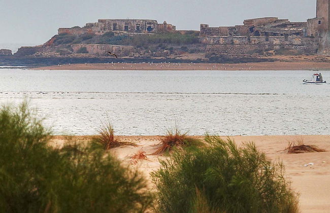Ferry y entrada al castillo de Sancti Petri - Foto 6