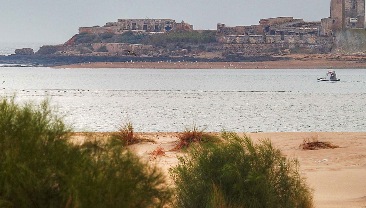Ferry y entrada al castillo de Sancti Petri - Foto 1