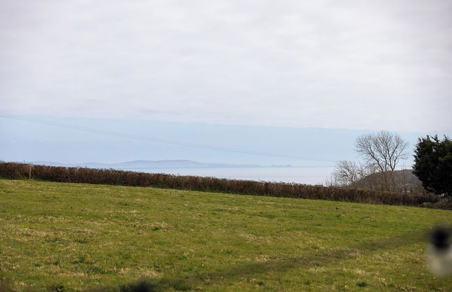 Willows Rest - 1 Bed Shepherd's Hut - Pentlepoir - Foto 48