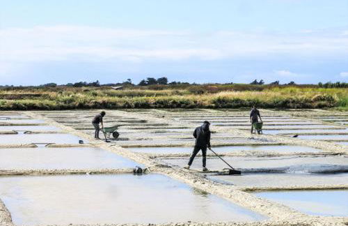 Holiday Home Charme de la Petite Bosse by Interhome - Foto 20