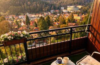 Black Forest Panorama Loft mit Pool - Foto 1