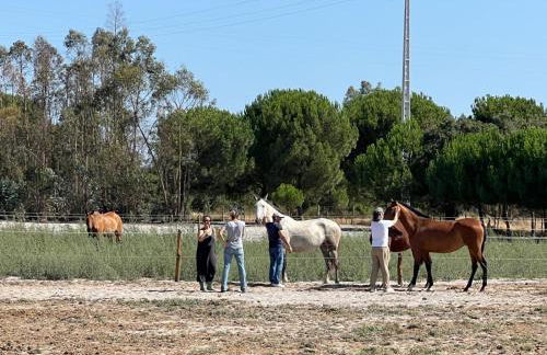 BURGUNDY house - Foto 15