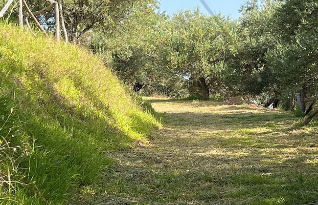 Agrolea Rodí Milici - Foto 45