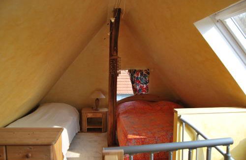 Rittersporn - Foto 7