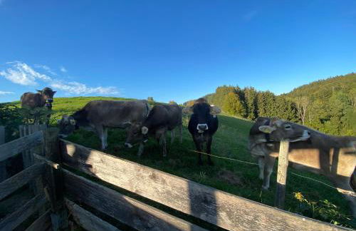 Ferienwohnung Bergblick Wangen im Allgäu mit Garten, 2022 komplett renoviert - Foto 19