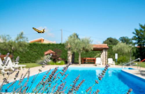 Apartment Fiore-2 by Interhome - Foto 14