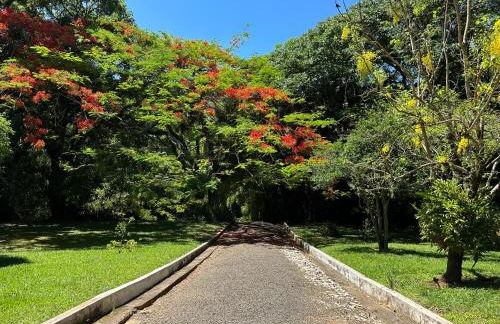 Chácara Paradisíaca às margens do Rio Jaguari - Foto 36