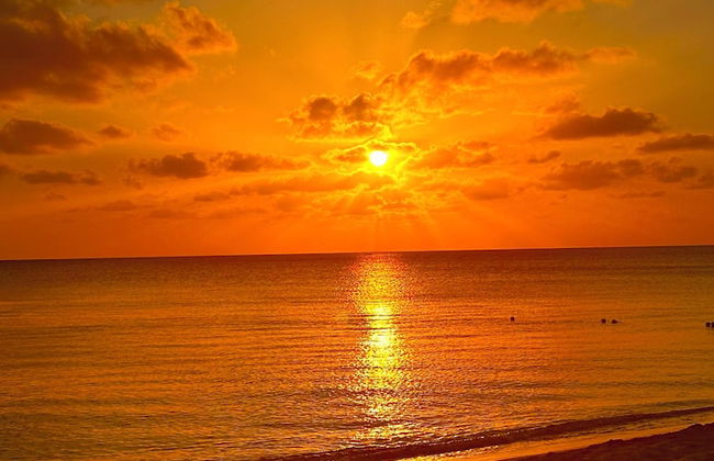 The Grove - Photo 68