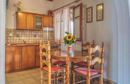 SEAHORSE healing effect - Foto 11