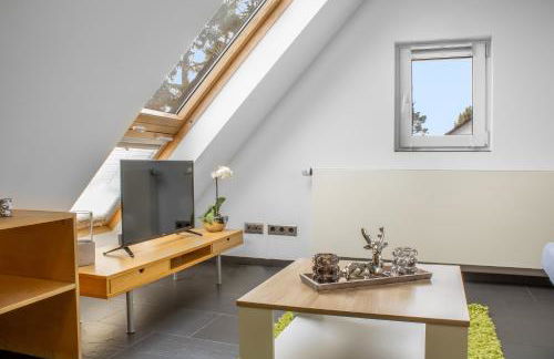 Gesamte Unterkunft - Büro - Küche - Netflix - Foto 10