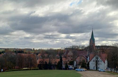 Domek u Bartnika z basenem na Mazurach - Foto 18