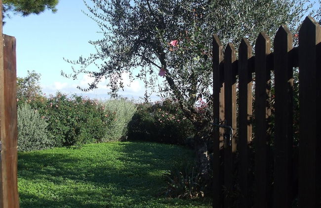 Red House/casa Rossa - Near Civita Di Bagnoregio - Foto 47