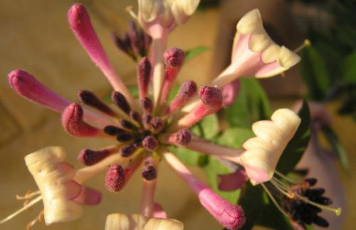 Stratos Villas - Foto 45