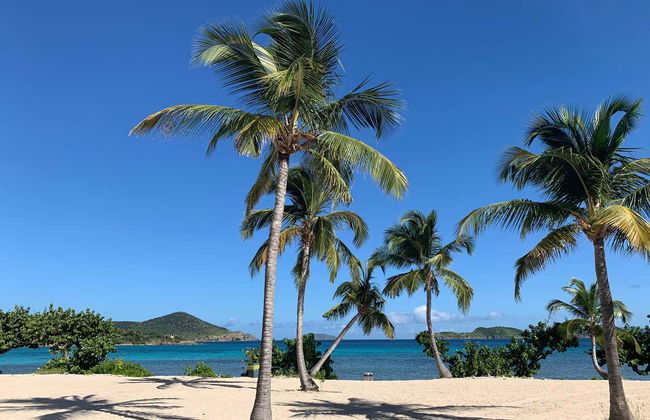 Visite à la découverte des plages de Saint Thomas - Photo 1