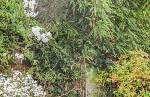 Little London - Photo 38