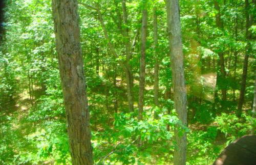 Custom-Built Family Cabin in Manistee National Forest, Michigan - Foto 24
