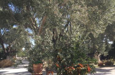 Livanina apartments - Foto 32