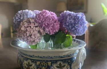 Residenza Villa Degli Ochi - Foto 45