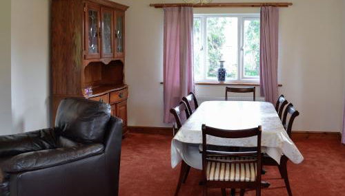 Copper Beech - Foto 4