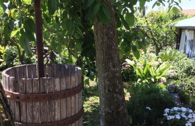 Agriturismo Il Convento - Photo 6