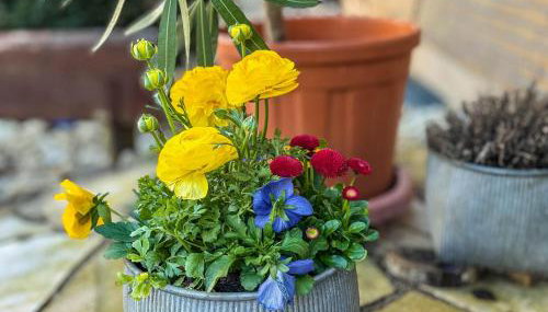 Ferienwohnung bei Fredy - Foto 3